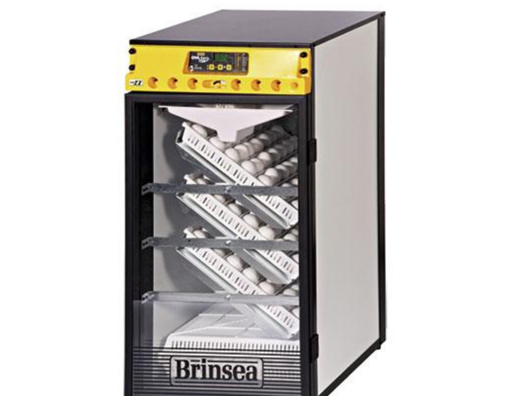 Brinsea Ova-Easy 190 Advance Inkubator